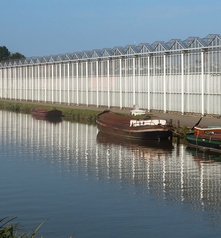 Poeldijk, kassen aan de Wateringseweg    16.41, Westland